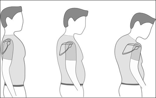 چرخش خارجی شانه در حالت پروتراکشن «External Rotation with Protraction»