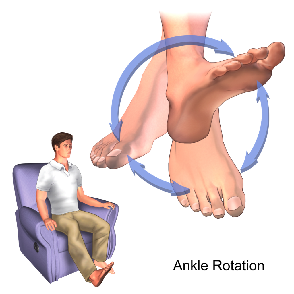 چرخش خارجی مچ پا «Ankle External Rotation»