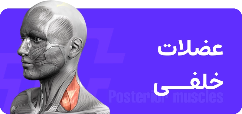 خلفی