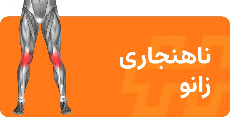 اصلاحی-حرکات-