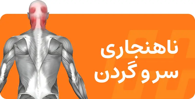 اصلاحی-حرکات-