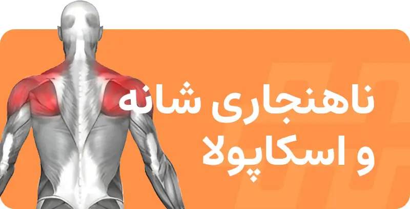 اصلاحی-حرکات-