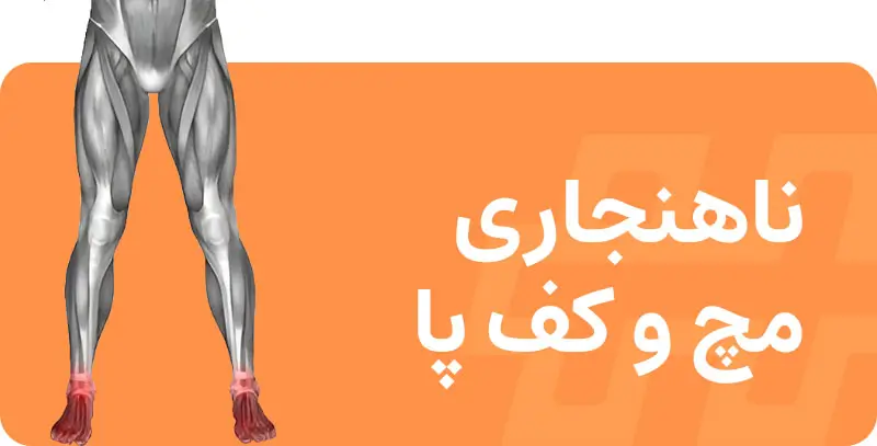 اصلاحی-حرکات-1