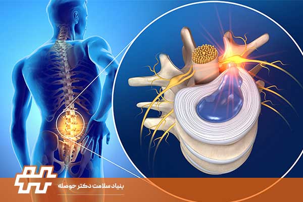 وظایف مهره‌های کمر