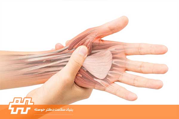 تاندونهای مچ دست