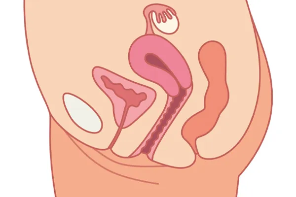 علائم افتادگی لگن