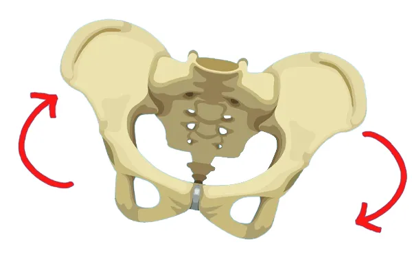 علائم چرخش داخلی لگن