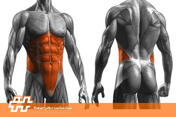 ضعف عضلات مرکزی بدن
