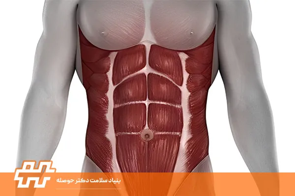 حرکات اصلاحی