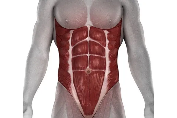 ضعف عضلات مرکزی بدن