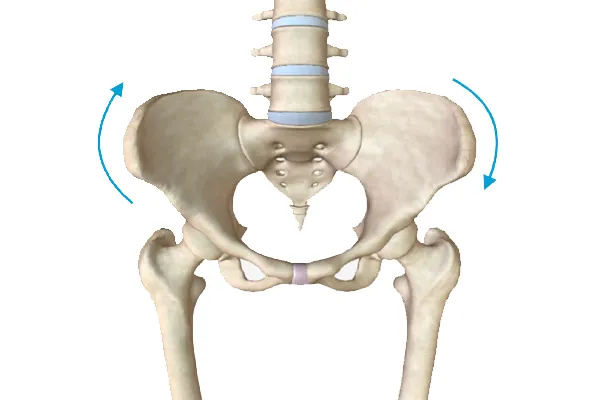 چرخش داخلی لگن