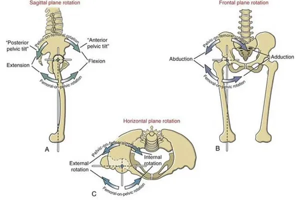 علت چرخش داخلی فمور