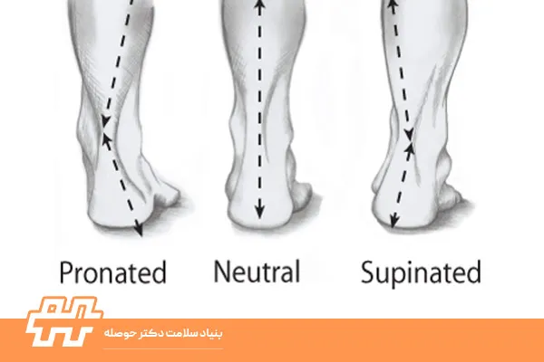 تفاوت Pronation و Supination