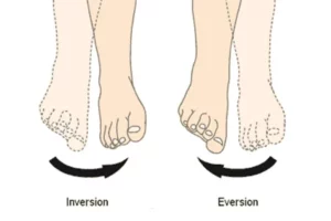 تفاوت Pronation و Supination