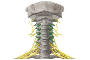 پُستِریور اینترترانسوِرساری کولی