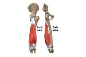 کوتاهی عضله همسترینگ