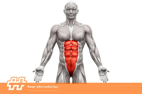 التهاب عضلات شکم